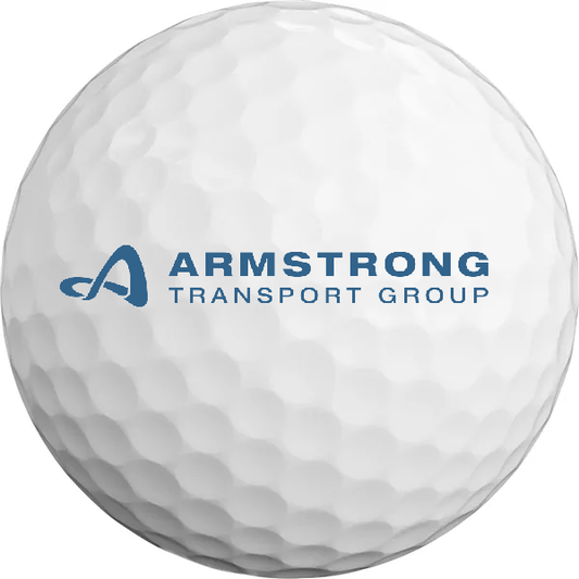 Titleist® Velocity Golf Ball (1 dozen)
